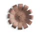 Ciclo Walnut GF