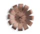 Ciclo Walnut