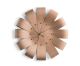 Ciclo Oak GF