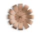Ciclo Oak