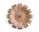 Ciclo Oak